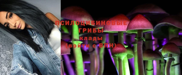 apvp Каменногорск