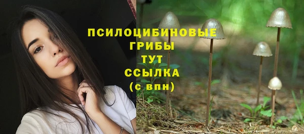 молекула духа Инсар