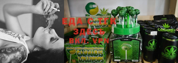 сатива Каменка