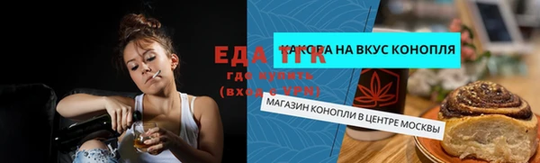 сатива Каменка