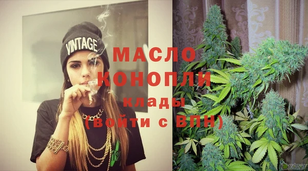 сатива Каменка