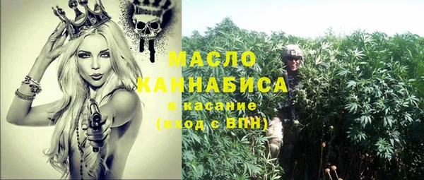 сатива Каменка
