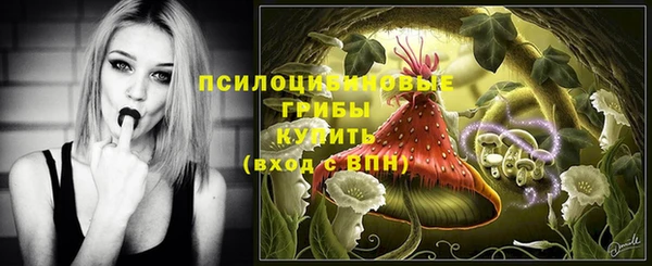 сатива Каменка
