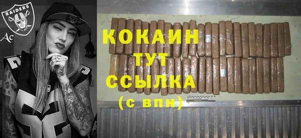 сатива Каменка