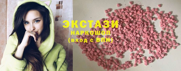 сатива Каменка