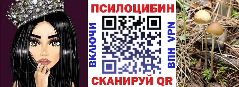 Псилоцибиновые грибы Psilocybine cubensis  Ленинск-Кузнецкий 