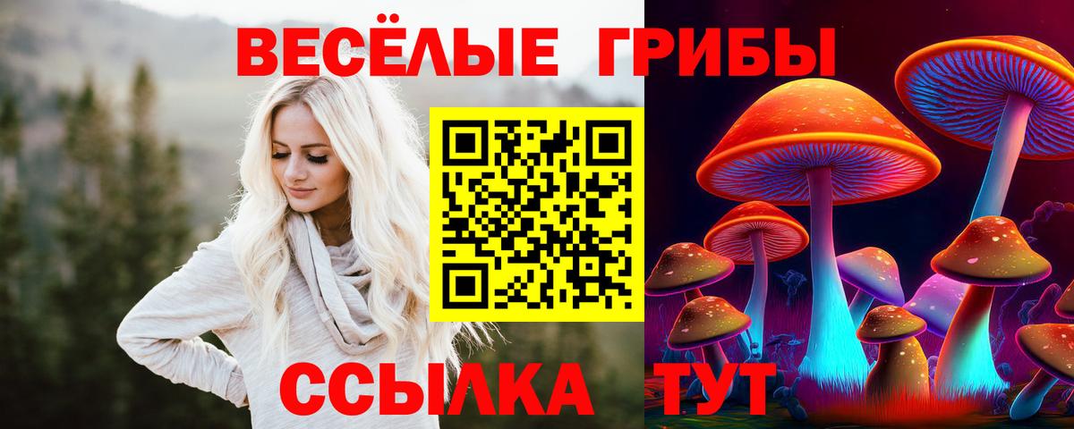 Галлюциногенные грибы мицелий Ленинск-Кузнецкий