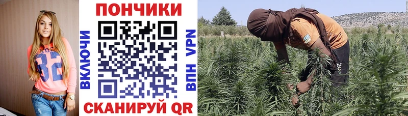 shop формула  Ленинск-Кузнецкий  Каннабис марихуана 