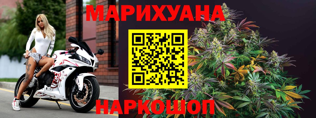 Канабис семена Ленинск-Кузнецкий